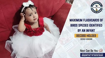 MAXIMUM FLASHCARDS OF BIRDS SPECIES IDENTIFIED BY AN INFANT