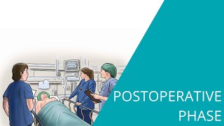 Postoperative Phase