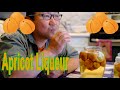 "UMESHU-like" Apricot Liqueur Making