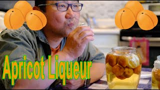 "UMESHU-like" Apricot Liqueur Making