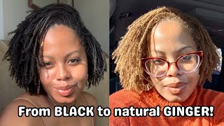 Step by Step DIY Bleaching My Locs with NO Damage | Coloring Microlocs Ginger