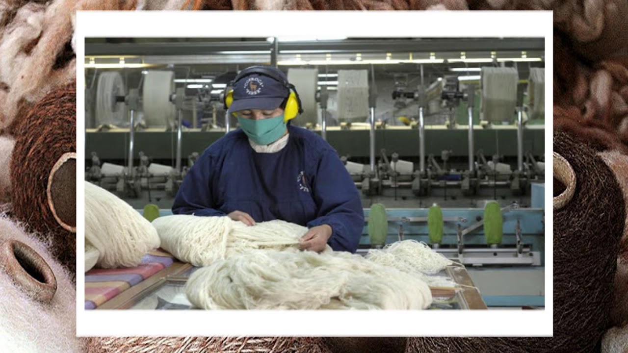 COPROCA VIDEO_INTRO - YouTube