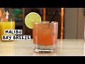 Malibu Bay Breeze Recipe