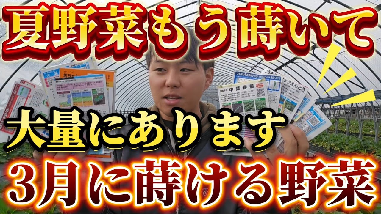 We will introduce all the seeds that can be sown in March! There