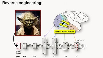 DAC 2019 | Keynote: Reverse Engineering Visual Intelligence
