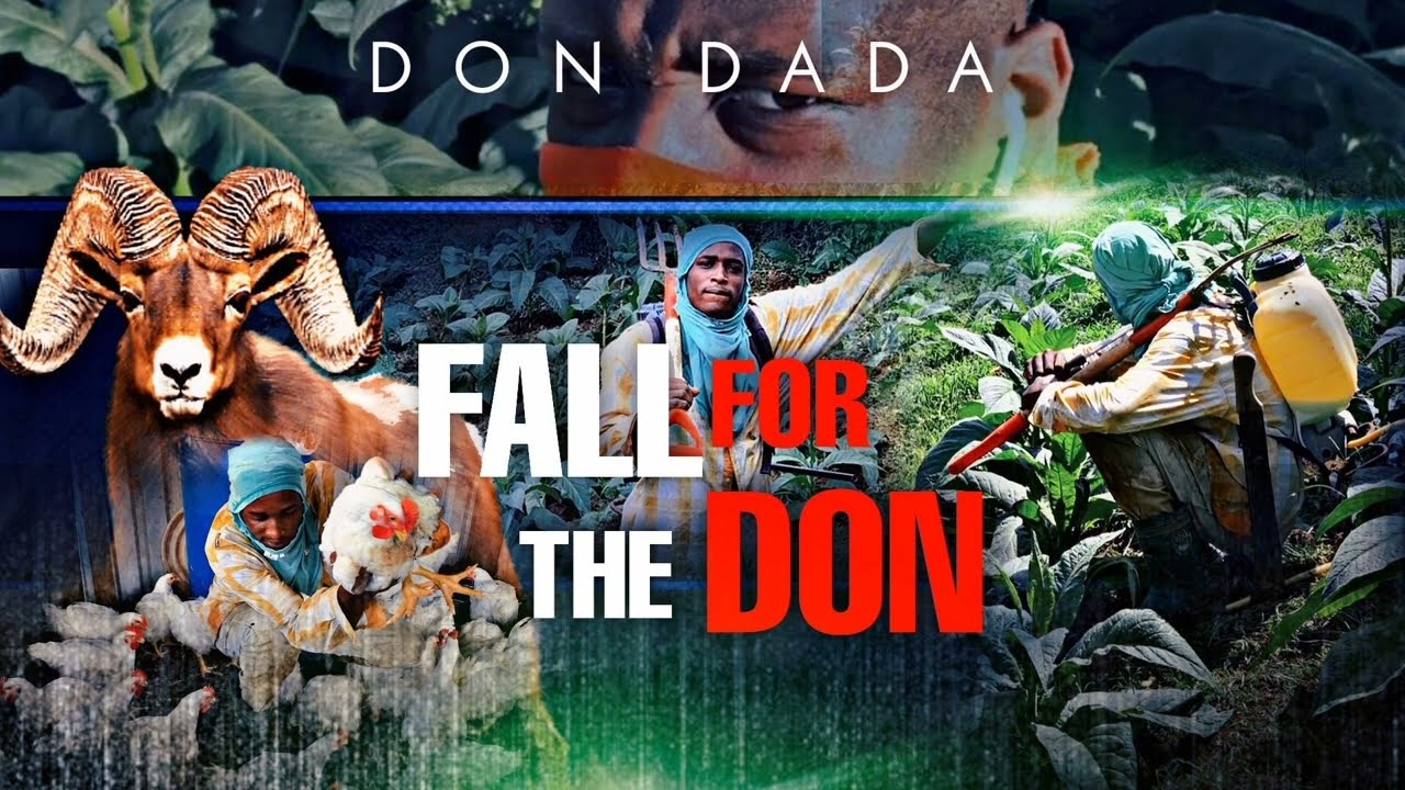 Regardez Don dada - Fall for the Don sur YouTube Regardez Don dada - Fall for the Don sur YouTube