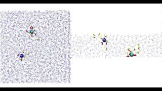 Dynamics of water molecules in hydration shells of ions