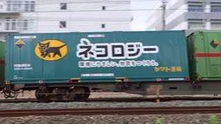 JR貨物 ネコロジー積載 1055レ 代走EF210-131[岡]号機