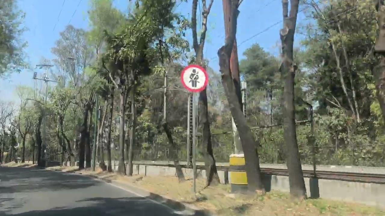 CDMX ALCALDÍA XOCHIMILCO!!!!