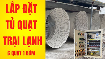 Lắp đặt tủ điều khiển quạt trại lạnh , 6 quạt 1 bơm chạy tự động theo 4 mức nhiệt độ |Tu Dien DITICO
