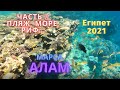 Бюджетный Тур в Египет 2021| Марса Алам | отель Fantazia Resort Marsa Alam 5*!I Часть 2