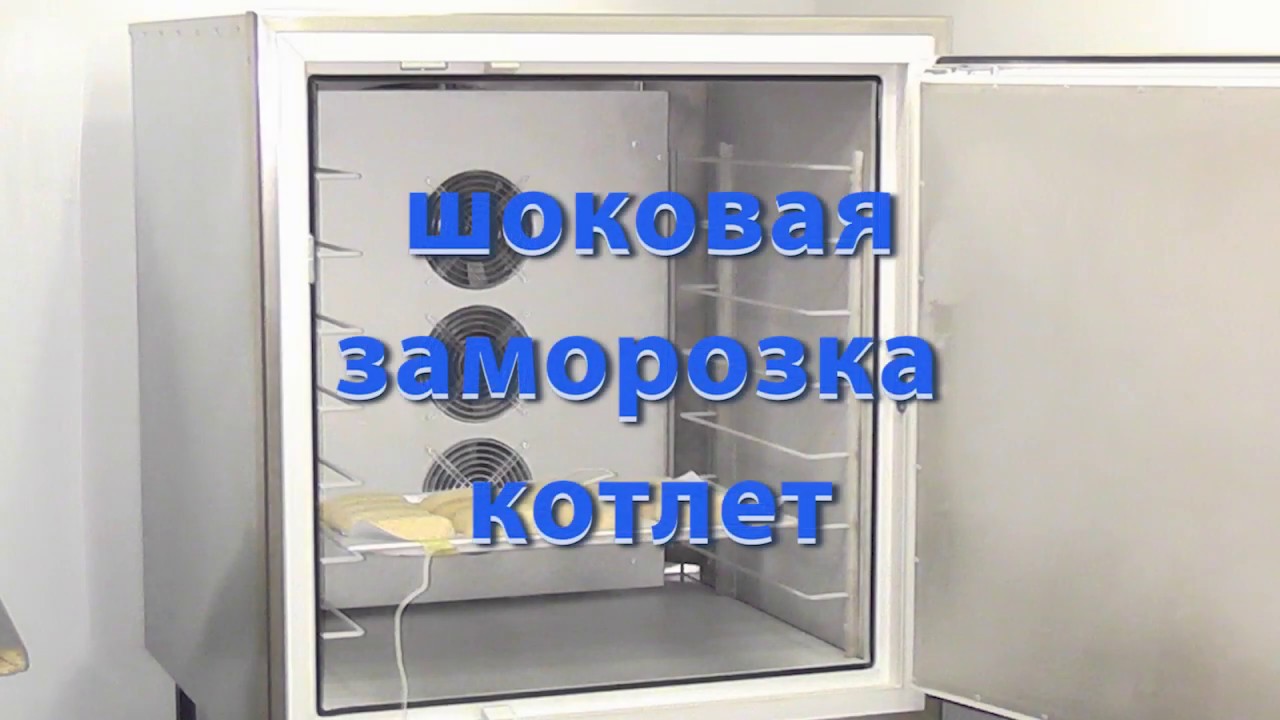 Когда проходит заморозка. Холодильник с шоковой заморозкой. Камера шоковой заморозки 20 уровней. Шоковая заморозка 10 уровней. Плита шоковой заморозки.