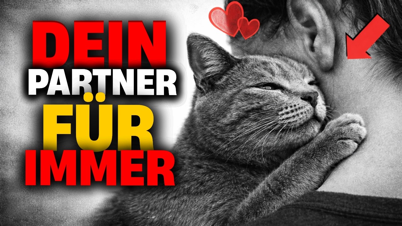 10 eindeutige Anzeichen dafür, dass Ihre Katze für immer an Ihrer Seite bleiben wird.