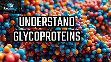 Glycoproteins Explained: Structure, Types, and Functions