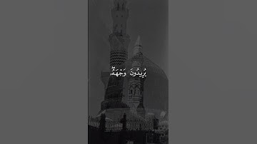 وَاصْبِرْ نَفْسَكَ مَعَ الَّذِينَ يَدْعُونَ رَبَّهُمْ - سورة الكهف - علي جابر