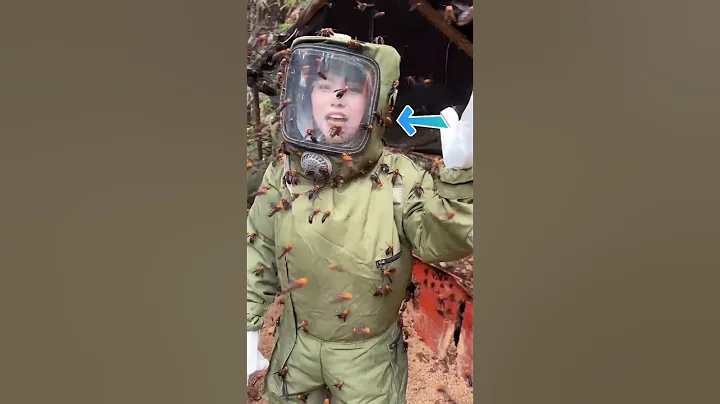 Bee Farming in China😢😮 | #shorts #shortsfeed #viralvideo