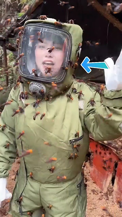 Bee Farming in China😢😮 | #shorts #shortsfeed #viralvideo