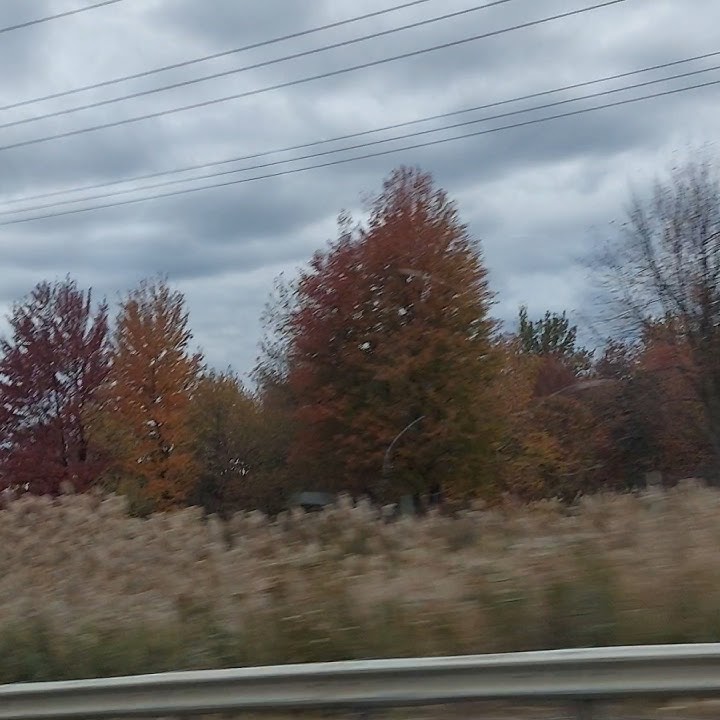 surah Ikhlas#egzonibrahimi