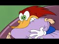 Woody Woodpecker | I Know What You Did Last Night | Full Episode