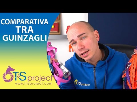 Video: Quanto Sono Sicuri I Guinzagli Retrattili?