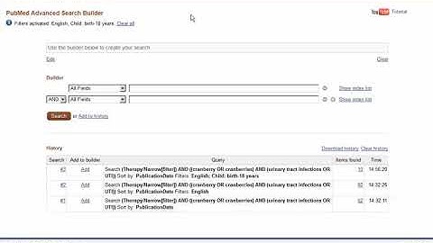 PubMed Search Strategy