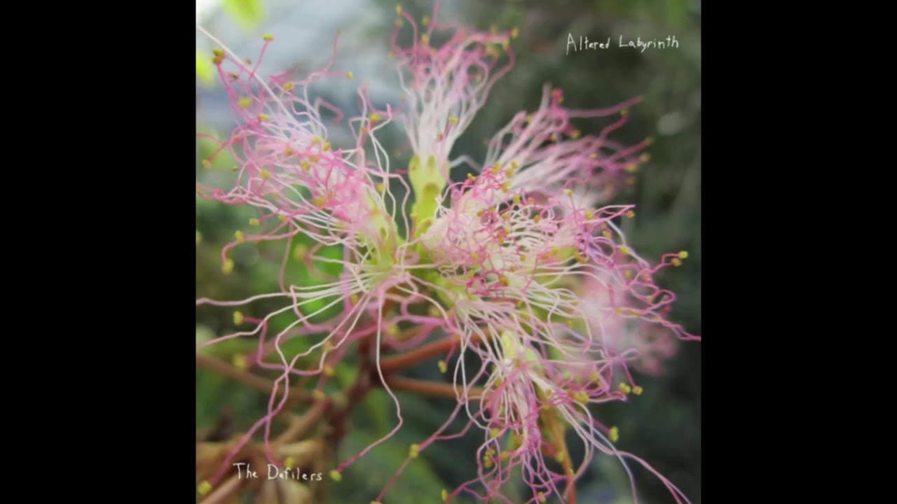 Altered Labyrinth - The Defilers (Audio)
