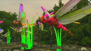 Zoomagination is coming back to the Buffalo Zoo this summer
