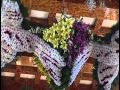 Decorados Florales Majestuosos en Santa Ana, un orgullo más de Tenancingo, 