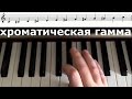 Как играть хроматическую гамму