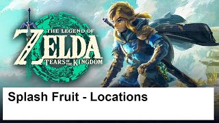 The Legend of Zelda Tears of the Kingdom - Splash Fruit - Locations screenshot 4