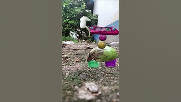 Mobile Video Edit By Setting Keyframe Simply #shorts #trending #simpleedit