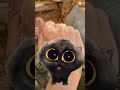Le chat danseur