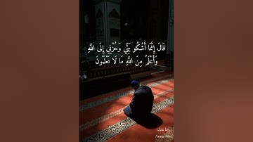 ﴿قَالَ بَلْ سَوَّلَتْ لَكُمْ أَنفُسُكُمْ﴾ من سورة يوسف - بصوت الشيخ مشاري راشد العفاسي - حالات واتس