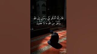 ﴿قَالَ بَلْ سَوَّلَتْ لَكُمْ أَنفُسُكُمْ﴾ من سورة يوسف - بصوت الشيخ مشاري راشد العفاسي - حالات واتس