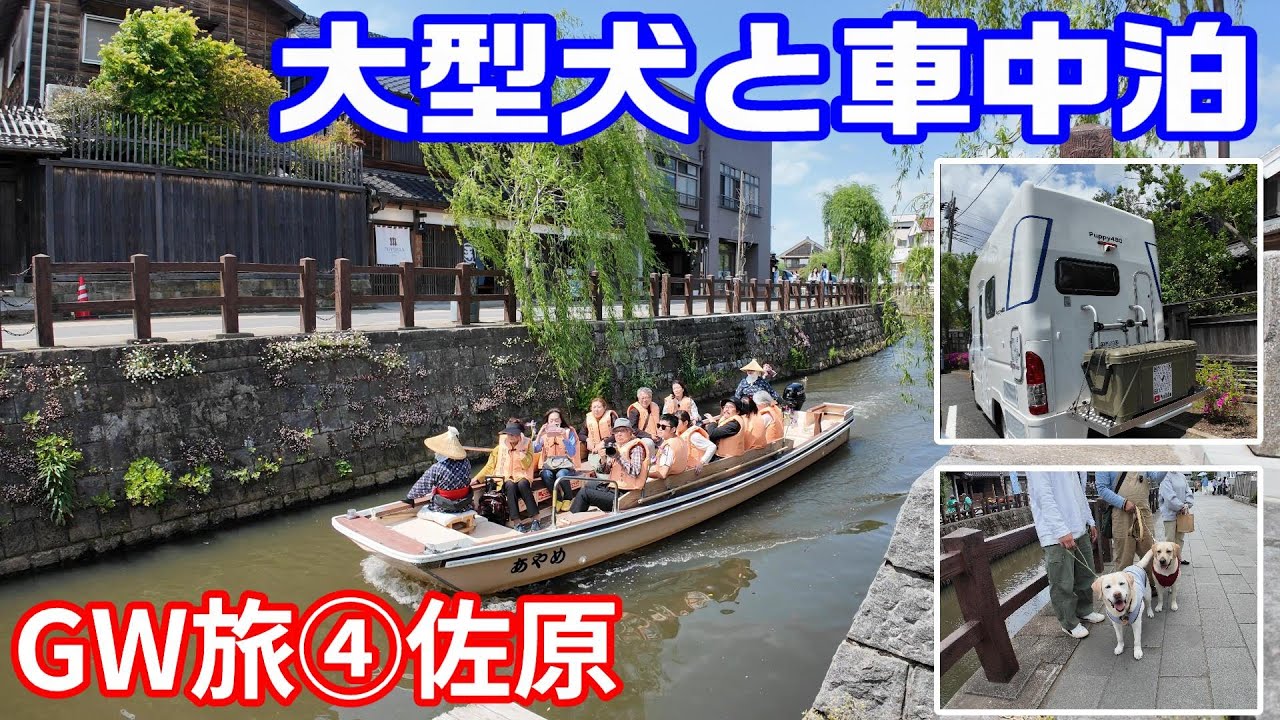 Puppy480 大型犬と車中泊 | 2025GW旅④千葉旅 | 香取神宮・佐原