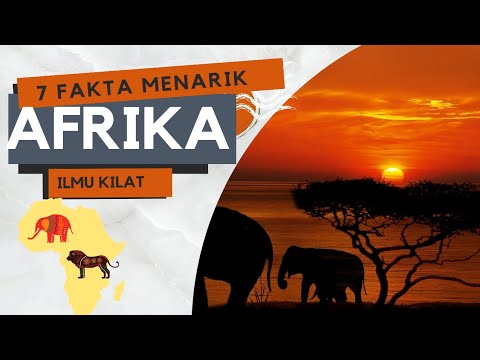 Video: Afrika adalah dunia alam yang liar. Fakta Menarik