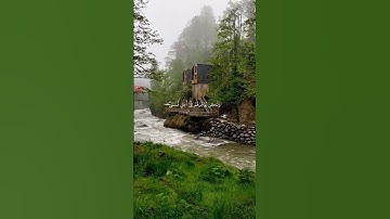 ولو يؤاخذ الله الناس بما كسبوا||تلاوة خاشعة //بصوت القارئ صالح اليافعي⏱️ثواني تريح الاعصاب 🎧🤍🌿