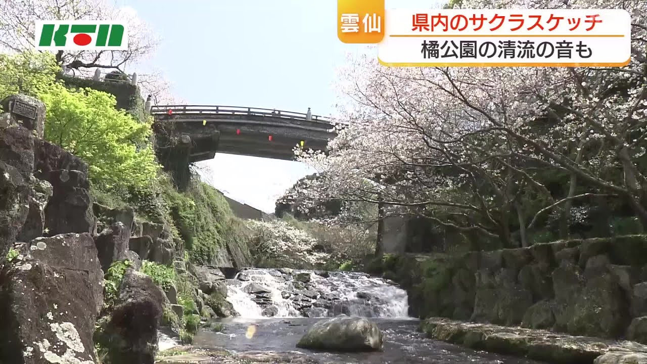 【Ｓ】さくら‪✿プロフ要確認様お取り置き Aerial footage of cherry blossoms blooming over a clear stream