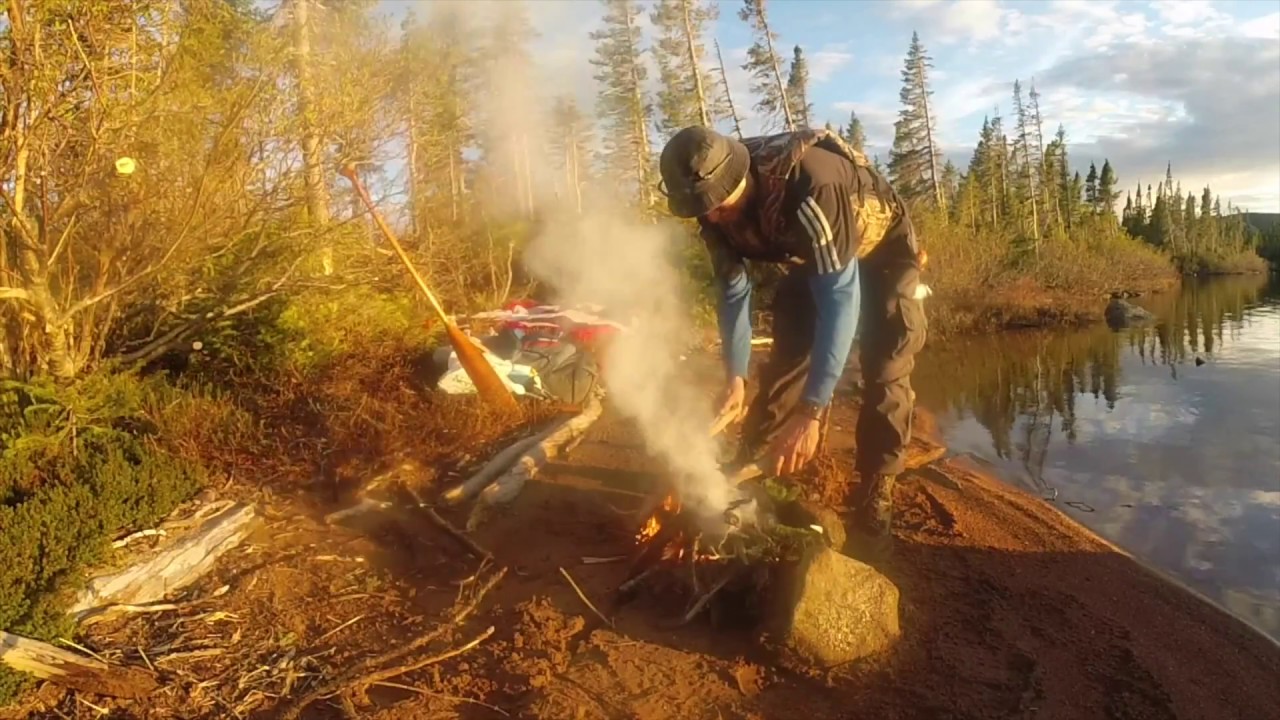 cartwright labrador tourism