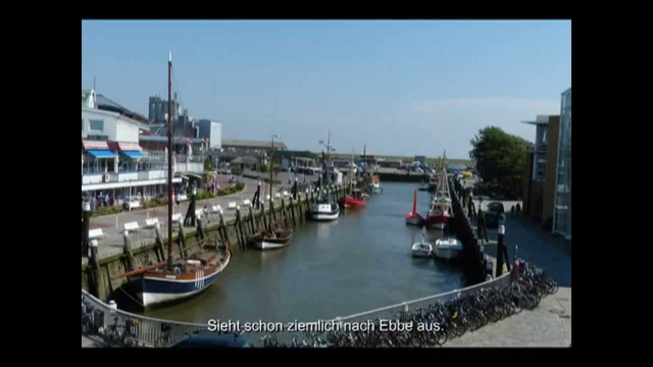 Büsum; Wattwandern, Seehundbänke, Eidersperrwerk