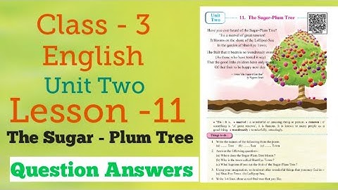 Class 3 | English | The Sugar Plum Tree | Lesson 11 | Question Answers | Mh Board.