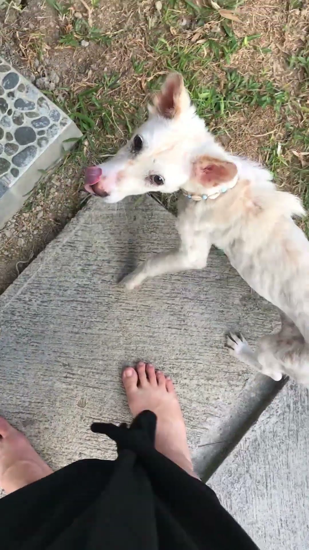 The Moment Someone Finally Notices You... | The Dodo