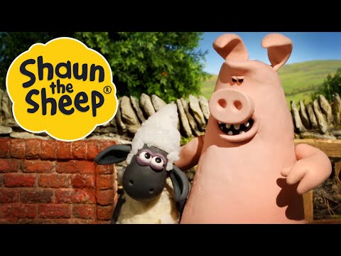 Pig Trouble Shaun The Sheep S2 Full Episodes