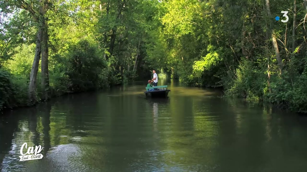 Cap Sud Ouest : Marais Poitevin, les enfants du marais