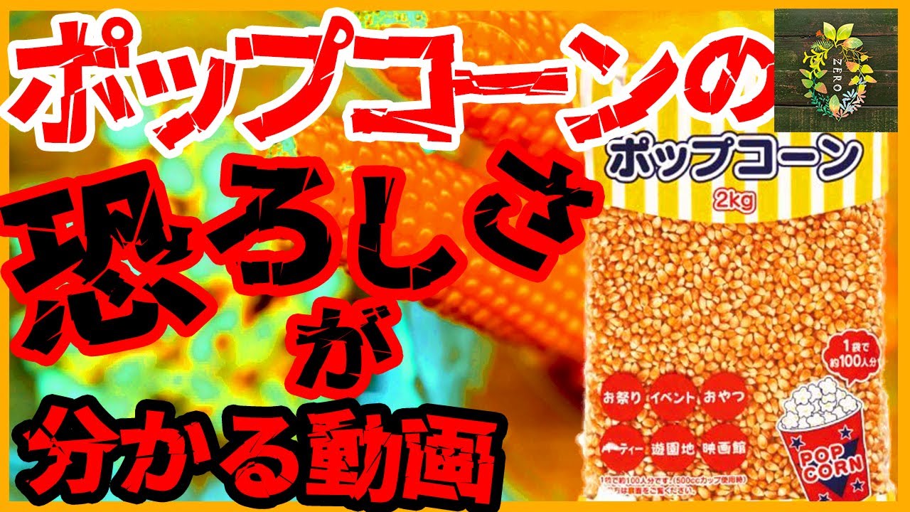 【閲覧注意】ポップコーン豆の真実を暴露します…【再生栽培】【家庭菜園】【園芸】