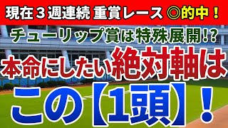 チューリップ賞2020 は特殊展開！？本命にしたい絶対軸は【この1頭】