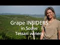 Grape INSIDERS: Tessari winery in Soave, Wine Tour in Soave Classico