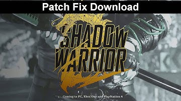 Shadow Warrior 2 lag fix pc