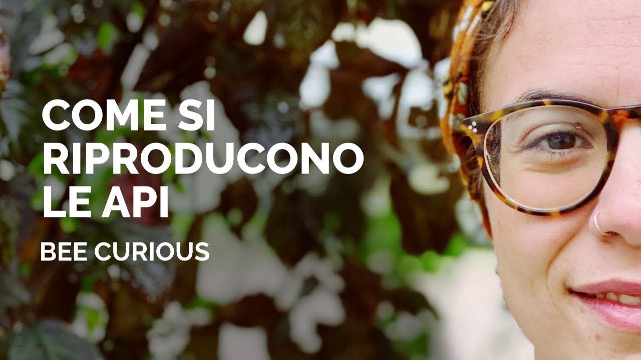 Api Valetini VOLO NUZIALE - come fanno le api a RIPRODURSI | Bee Curious - Adelaide ...