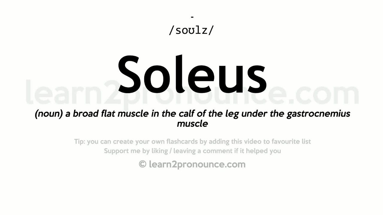 Soleus pronunciation and definition - YouTube